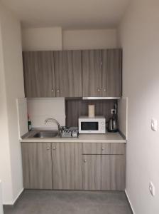 テッサロニキにあるAphroditi Apartmentの小さなキッチン(電子レンジ、シンク付)