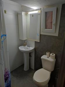 テッサロニキにあるAphroditi Apartmentの小さなバスルーム(トイレ、シンク付)