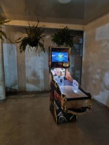 una máquina de videojuegos en una sala con plantas en Cómoda casa de campo, en Ibagué