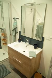 La salle de bains est pourvue d'un lavabo, d'un miroir et d'une douche. dans l'établissement Le charmant cocon, à La Bourboule