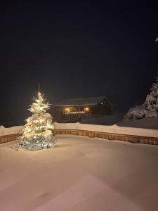 a christmas tree covered in snow in front of a house at Das Grünholz Aparthotel in Mühlbach am Hochkönig +77 photos