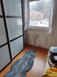 alfombra en el suelo en una habitación con ventana en Ferienwohnung - Apartment Pichlarn Holiday, en Aigen im Ennstal