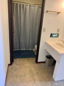 ein Bad mit einem Waschbecken, einem WC und einer Dusche in der Unterkunft #26 Snooze in Wisconsin Rapids