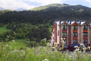 a building on the side of a mountain at Apartaments Els Llacs in Bordes d´Envalira