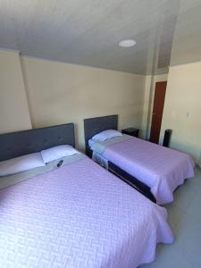 twee bedden naast elkaar in een kamer bij HOTEL EL GRAN CASINO ESMERALDA in Barbosa