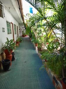 um corredor de um edifício com muitas plantas em Misti em Tarapoto