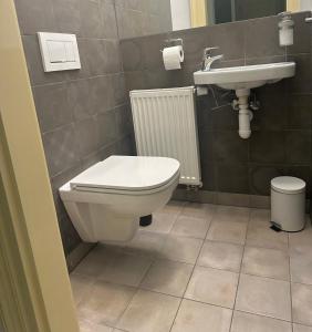 a bathroom with a toilet and a sink at Byt ve městě Praha 2 in Prague