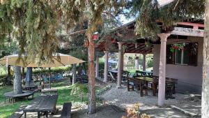 Giardino di Vila Davidovic-Fruska gora