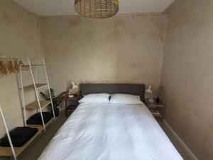 Gallery image of Shoreditch-Hoxton Stylish Split Level Flat in London