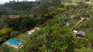 哈爾丁的住宿－Glamping Jardín，山丘上房屋的空中景致