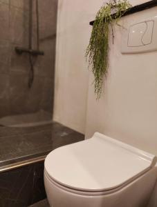 a bathroom with a toilet with a plant above it at AMRAI Rīga in Rīga