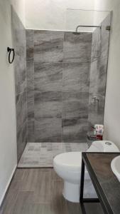 een badkamer met een douche, een toilet en een wastafel bij Studios V19 in Colima