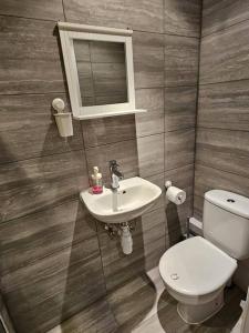 a bathroom with a toilet and a sink and a mirror at Entire en-suite flat in Windsor home with free parking in Windsor