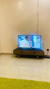 TV tai viihdekeskus majoituspaikassa Independent apartment in a villa