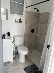 a small bathroom with a toilet and a shower at The Perfect Studio in Arecibo