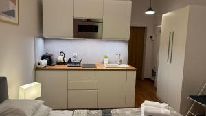 Kuchyňa alebo kuchynka v ubytovaní VULTOR Apartments