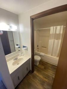 een badkamer met een wastafel, een toilet en een spiegel bij #17 Snooze in Wisconsin Rapids
