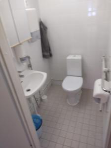 a bathroom with a toilet and a sink at Saarnimaja in Hämeenlinna