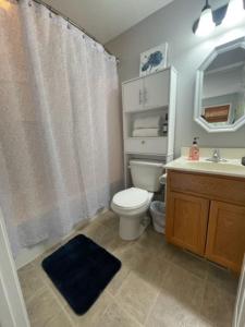 a bathroom with a toilet and a sink at Anoka Apartments in Historical Victorian House in Anoka