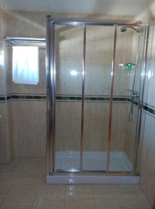 y baño con ducha y puerta de cristal. en Hotel San Cibrao, en San Ciprián de Viñas