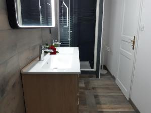 a bathroom with a white sink and a shower at Manoir Saint-Pardoux 63680 in La Tour-dʼAuvergne