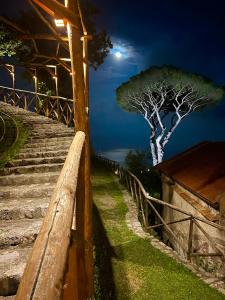 a tree on the side of some stairs at night at Agriturismo Sant'Alfonso in Furore