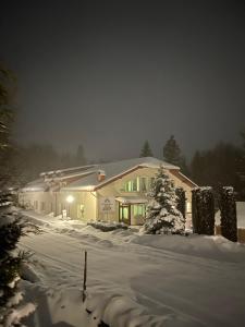 a house in the snow with snow covered trees at Guest House Podobovets 2000 in Podobovets