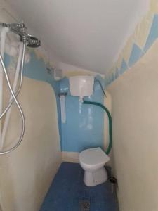 a small bathroom with a toilet and a shower at Bica da Salema Beach House in Salema