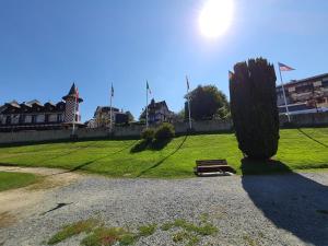 park z ławką i dużym drzewem w obiekcie La Potinière Du Lac Appartements w mieście Bagnoles de l'Orne