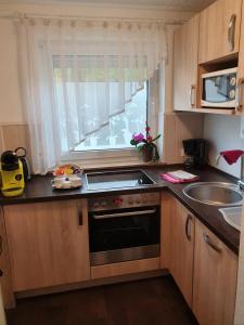 cocina con fogones, fregadero y ventana en Nürnberg Apartment, en Núremberg