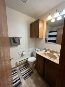 a bathroom with a sink and a toilet and a mirror at 201 E Veterans St Apt G by Patriot Properties in Tomah