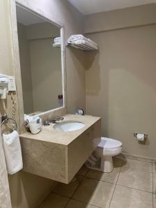 La salle de bains est pourvue d'un lavabo et de toilettes. dans l'établissement Hotel San Francisco, à San Luis Potosí