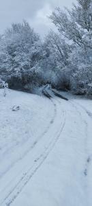 einen schneebedeckten Weg auf einem Feld mit Bäumen in der Unterkunft Les Délices de la Vie 