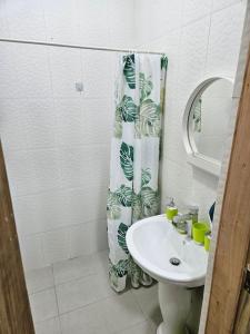 ein Bad mit einem Waschbecken und einem Duschvorhang in der Unterkunft Gardens Apartment in Accra