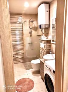 Kúpeľňa v ubytovaní Apartman Roso