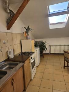 Kuchyň nebo kuchyňský kout v ubytování Apartament Centrum