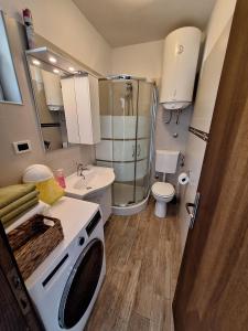 ein Bad mit einer Dusche und einer Waschmaschine in der Unterkunft Apartment Modric in Lovranska Draga