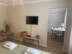 TV a/nebo společenská místnost v ubytování STING Apartments Havířov