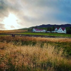 un campo con una casa y un caballo a lo lejos en Minna-Mosfell Guesthouse, en Mosfellsbær