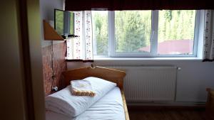 a bed in a room with a window at Cabana Cerbul-Oasa-Transalpina in Ciban