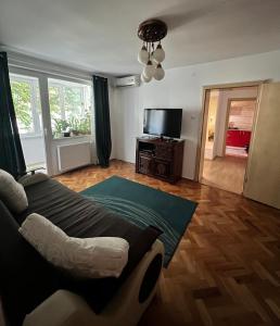 ein Wohnzimmer mit einem Sofa und einem TV in der Unterkunft Noreea Central Apartment in Timişoara