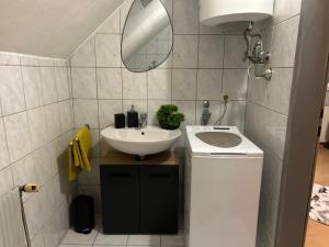 a bathroom with a sink and a mirror at Gemütliche Garconniere im Zentrum von Pregarten in Pregarten