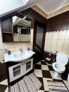 uma casa de banho com um lavatório, um WC e um espelho. em Adonis Oasis Rădăuți em Rădăuţi
