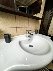 ein weißes Waschbecken im Bad mit Spiegel in der Unterkunft Adonis Oasis Rădăuți in Rădăuţi