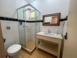 a bathroom with a shower and a toilet and a sink at Pousada Canto Verde in Tiradentes