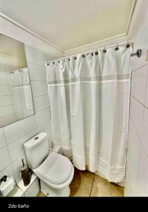 a bathroom with a white shower curtain and a toilet at Central y con todas las comodidades 2 in Santiago