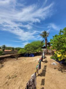 eine Reihe von Handtüchern am Strand mit einer Palme in der Unterkunft Hostel Flor da Vida in Canoa Quebrada