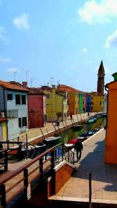 un gato caminando por una pasarela junto a un puerto en Cà Comare Burano, en Burano