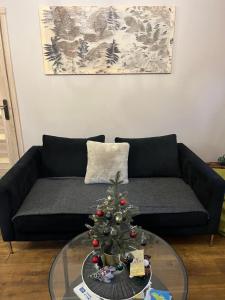 Afbeelding uit fotogalerij van Augļu ielas pirts māja in Jūrmala +63 foto's