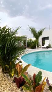 a swimming pool with plants in front of a house at Casa campestre Mallorca in Sabanagrande